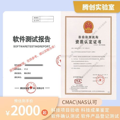 深圳人工智能软件应用示范申报中的软件测试报告要点解析